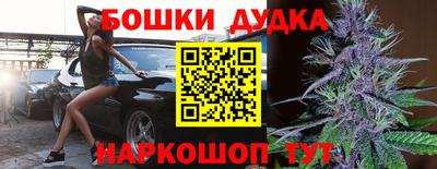 мдпв Будённовск